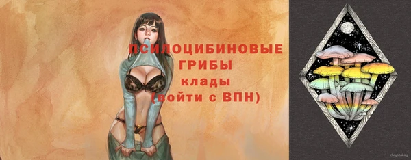 PSILOCYBIN Алексин