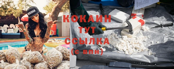 а пвп мука Алзамай