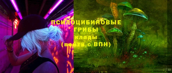 круглые Алексеевка