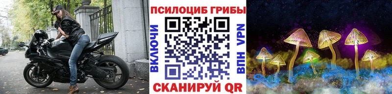 дарнет шоп  Салехард  Галлюциногенные грибы Cubensis 
